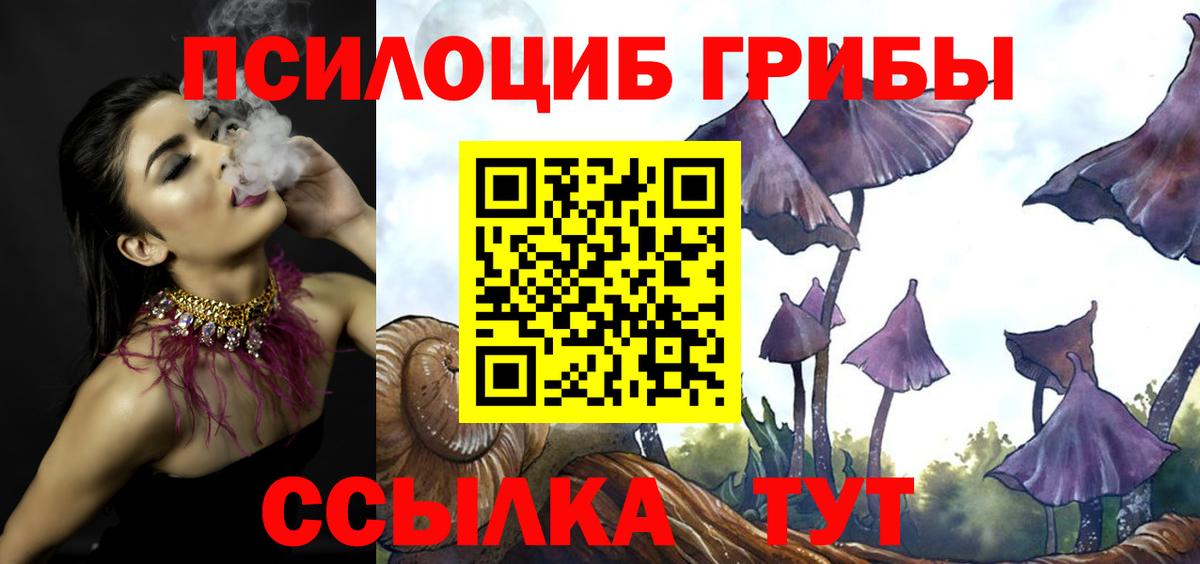 цены наркотик  Вход с VPN  Курчатов  Галлюциногенные грибы GOLDEN TEACHER 